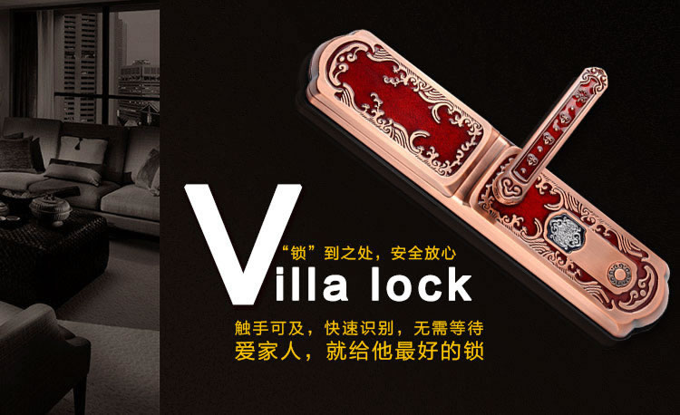 玉蛟龍智能門鎖 智能鎖防窺視輸入、半導體/光學指紋傳感器