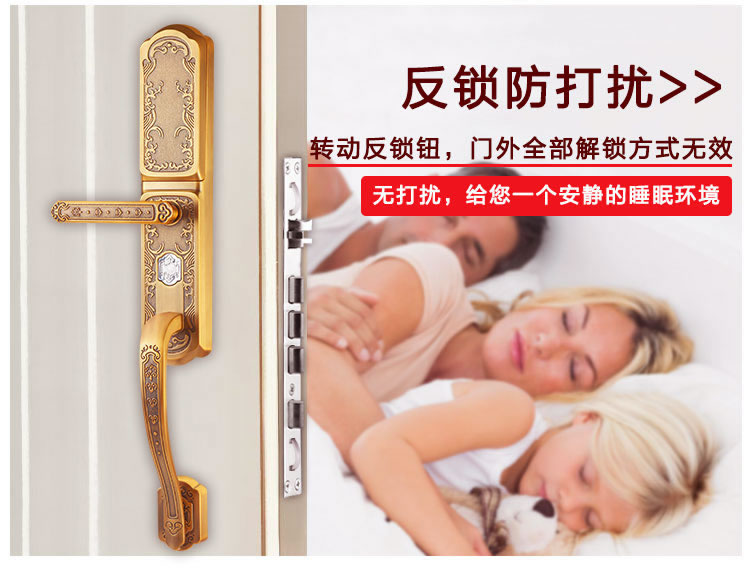 玉蛟龍指紋鎖 智能別墅鎖智能化的觸摸鍵盤、玉蛟龍密碼感應門鎖系列