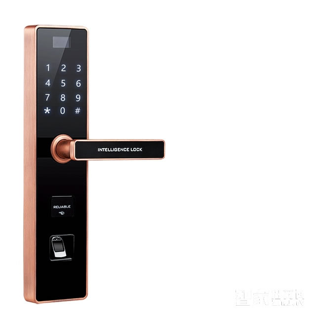 門將軍智能鎖 智能聯(lián)動(dòng)鎖/遠(yuǎn)程開鎖/可選鎖體