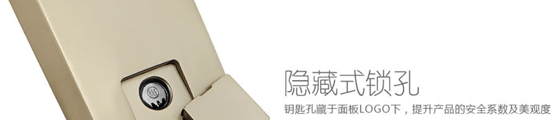 豪力士指紋鎖智能鎖  D3633F木門鐵門密碼鎖防盜門鎖 手機(jī)AAP感應(yīng)電子鎖