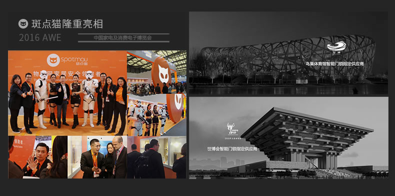 斑點貓智能鎖 智能電子密碼鎖 滑蓋指紋鎖