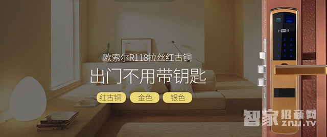 歐索爾智能鎖R118 直板指紋密碼鎖 防盜門木門刷卡鎖