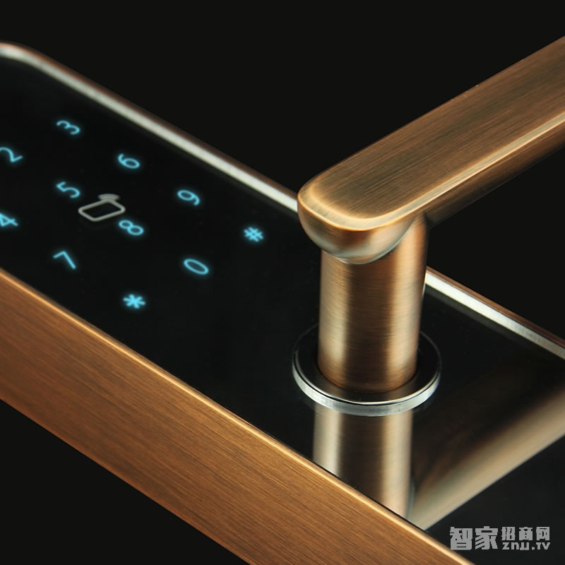 大華樂橙密碼指紋鎖 家用防盜電子鎖