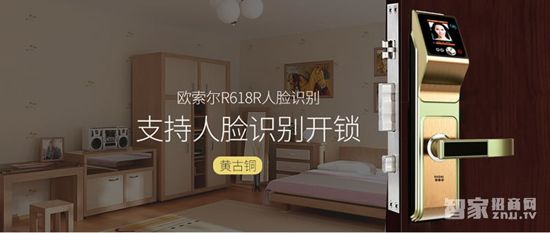 歐索爾智能鎖人臉識別鎖 家用防盜密碼鎖