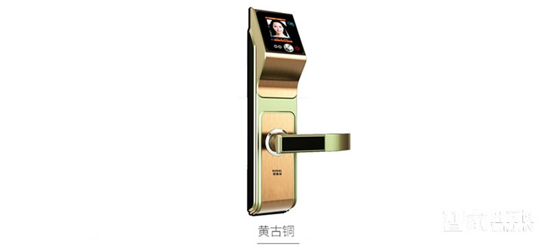 歐索爾智能鎖人臉識別鎖 家用防盜密碼鎖