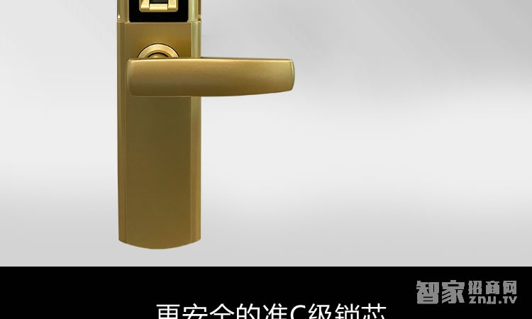 智能屋智能鎖 家用指紋密碼鎖（麗都金）