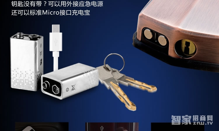 智能屋智能鎖 家用指紋密碼鎖（麗都金）