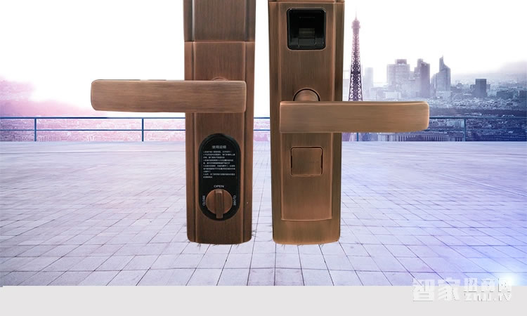 智能屋智能鎖 家用防盜智能鎖(紅古銅)