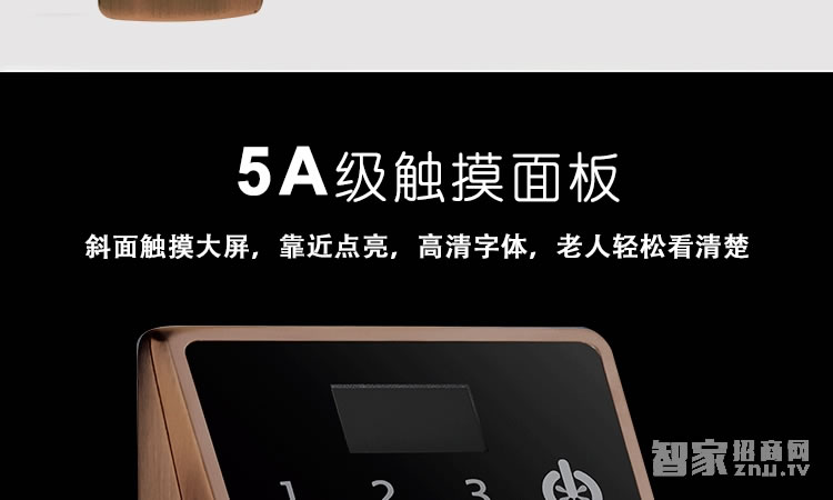 智能屋智能鎖 家用防盜智能鎖(紅古銅)