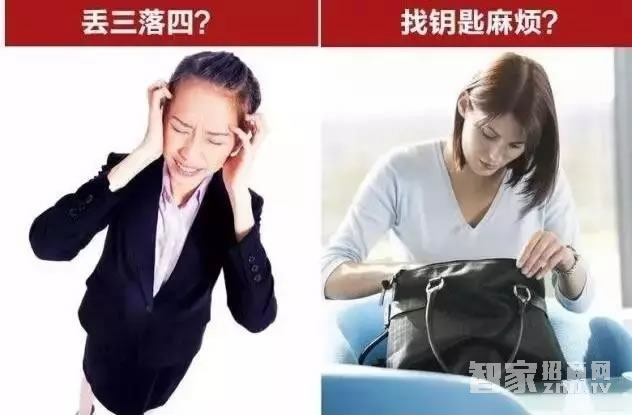 智能屋智能鎖 家用防盜智能鎖(紅古銅)