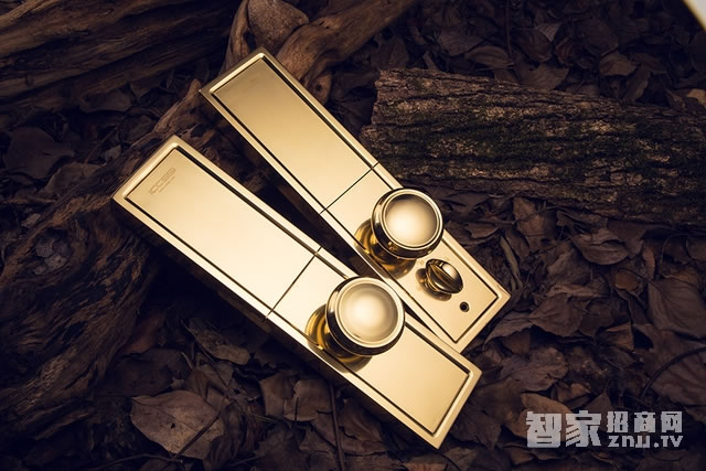 艾棲家用指紋鎖 純銅智能門鎖 高檔電子鎖