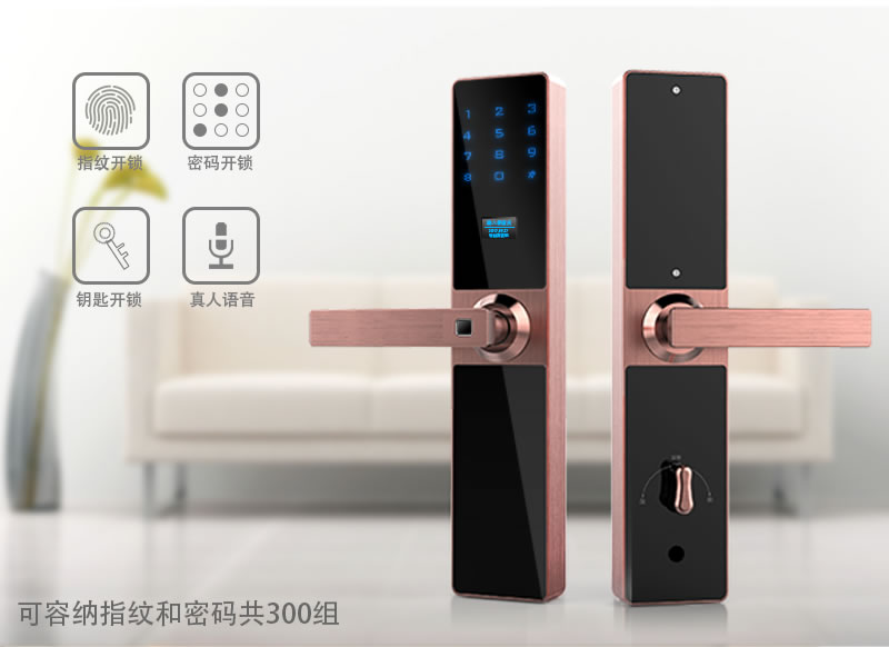 慧星辰智能鎖 半導(dǎo)體指紋密碼紅膜鎖 直板防盜門鎖