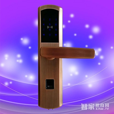 彬睿指紋鎖6610 不銹鋼智能密碼鎖