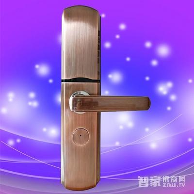 彬睿智能鎖 家用防盜門智能鎖 公寓入戶門指紋密碼鎖