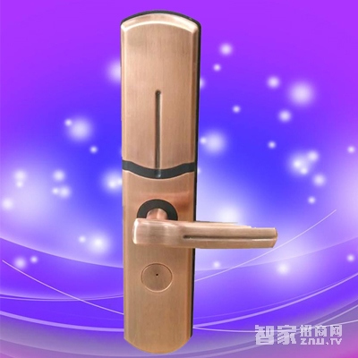 彬睿智能鎖 公寓大門智能鎖 家用滑蓋指紋密碼鎖