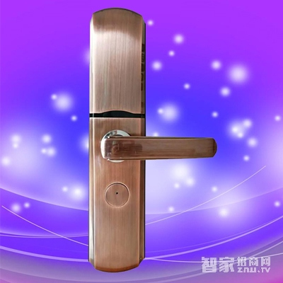 彬睿智能鎖 家用防盜指紋密碼鎖 大門(mén)電子感應(yīng)鎖