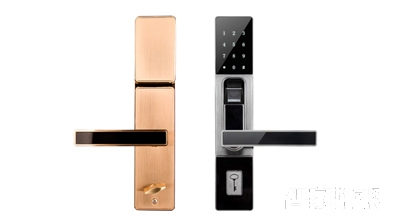 樂(lè)喜電子智能鎖 公寓入戶(hù)門(mén)防盜指紋密碼鎖