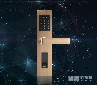 薩菲爾智能鎖 APP智能門鎖S01 家用防盜門指紋密碼鎖