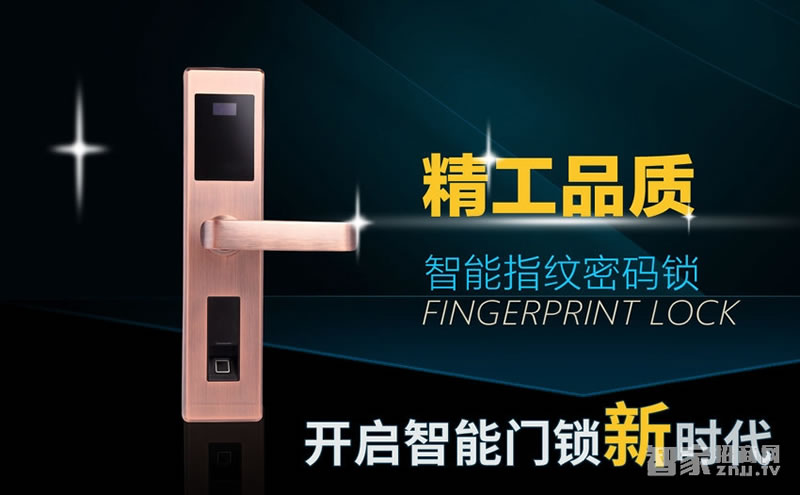 薩菲爾智能鎖 APP智能門鎖S01 家用防盜門指紋密碼鎖