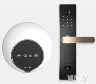 薩菲爾智能鎖家用電子智能鎖S1 大門指紋密碼鎖