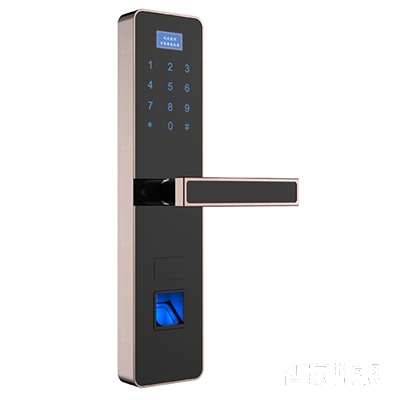 同飛達指紋密碼鎖 電子感應磁卡鎖
