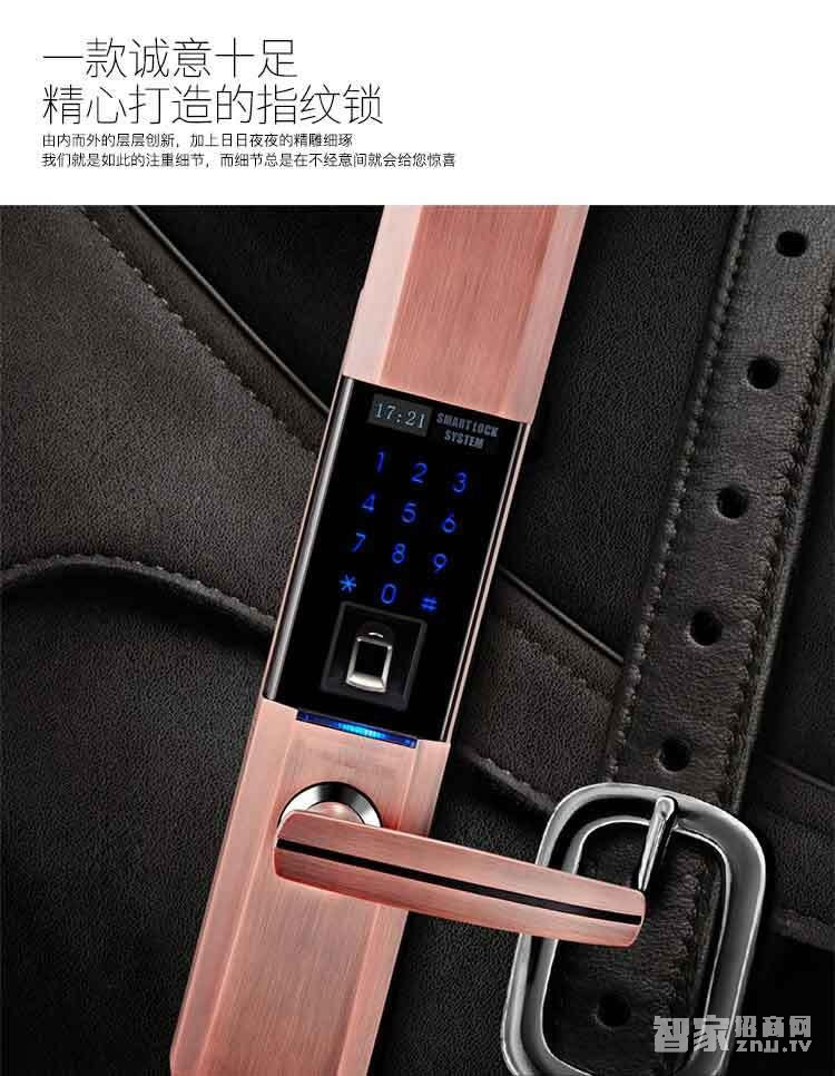 堅甲衛士瑞典指紋頭平滑蓋指紋鎖 密碼刷卡鎖