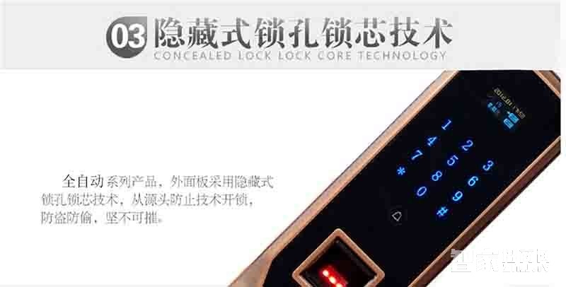 堅甲衛(wèi)士全自動四合一指紋鎖 防盜智能門鎖
