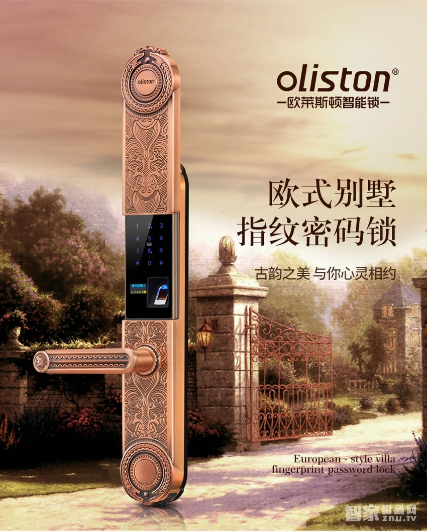 歐萊斯頓指紋鎖家用防盜大門 電子密碼APP開鎖