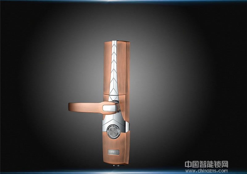 艾菲爾指紋鎖 高檔小區公寓防盜門鎖 智能指紋密碼鎖