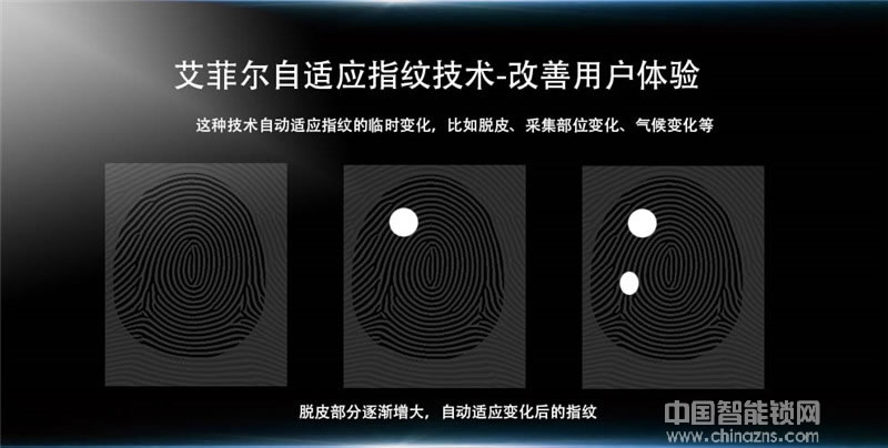 艾菲爾指紋鎖 高檔小區公寓防盜門鎖 智能指紋密碼鎖