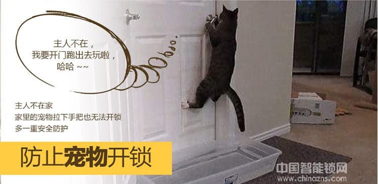 華品APP動(dòng)態(tài)密碼鎖 防盜門(mén)鎖公寓門(mén)鎖