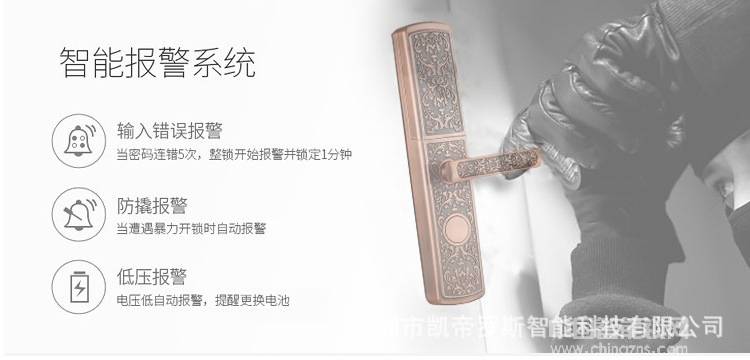 凱帝羅斯別墅指紋鎖 APP歐式指紋鎖