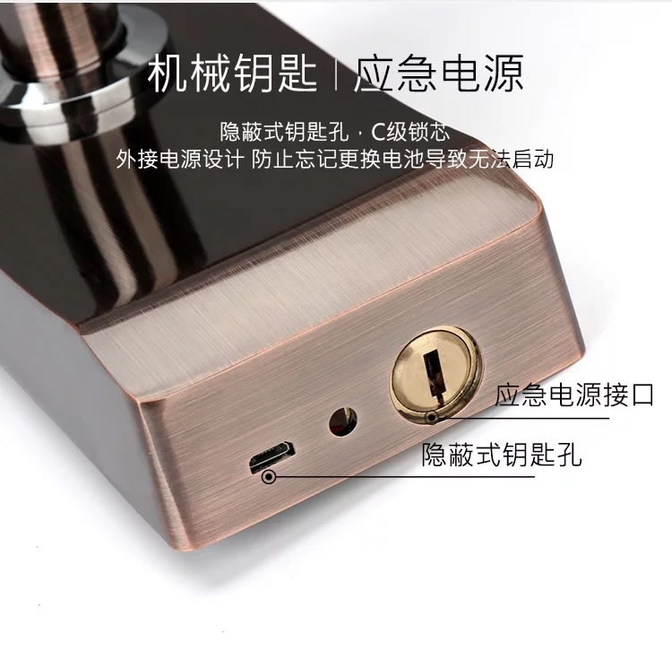 顧思特人臉識別鎖 掌紋靜脈電子門鎖