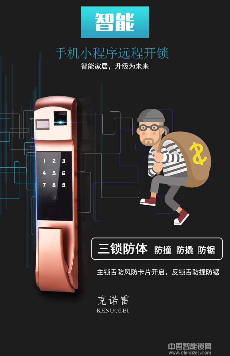 克諾雷智能鎖 家用防盜門智能鎖 全自動密碼鎖