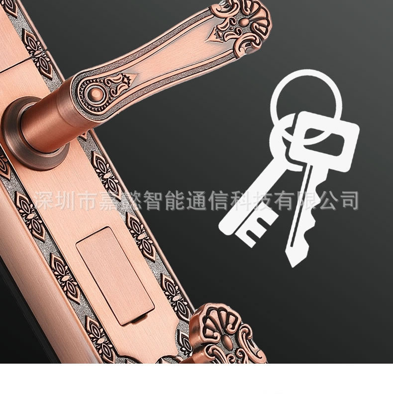 多多智能鎖 別墅大門指紋鎖 豪華拉手智能鎖