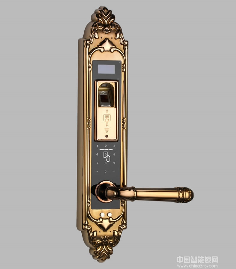 宏興智能鎖 高檔小區別墅指紋密碼鎖 家用防盜門鎖