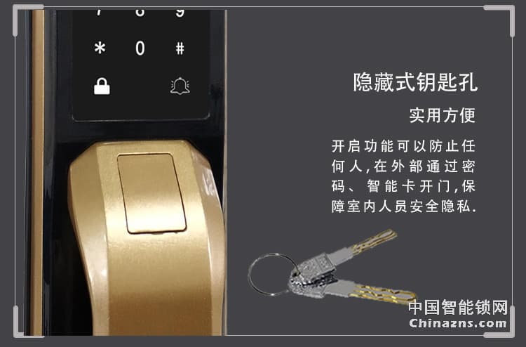 愛爾家家用指紋鎖D1 鋁合金全自動智能鎖