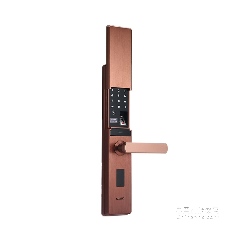 西巢電動滑蓋指紋鎖 RSDXC-QS650 電子密碼門鎖