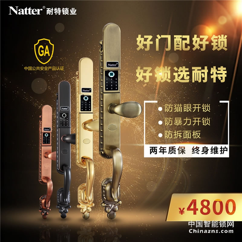 耐特別墅指紋鎖 豪華銅門N6