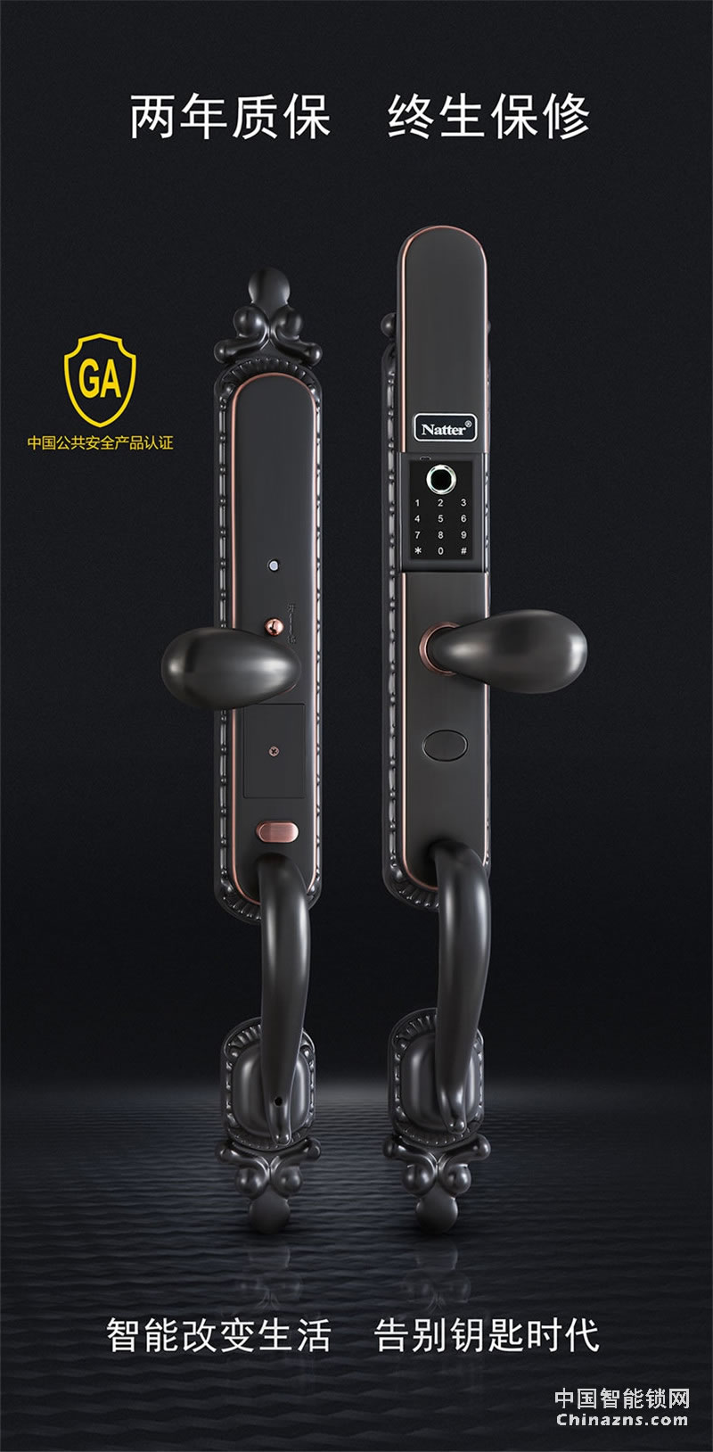 耐特別墅指紋鎖 豪華銅門N6