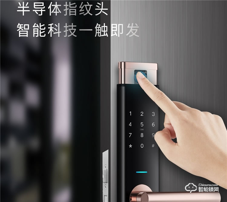 揚(yáng)子智能鎖 SZ1家用半自動(dòng)防盜門(mén)鎖