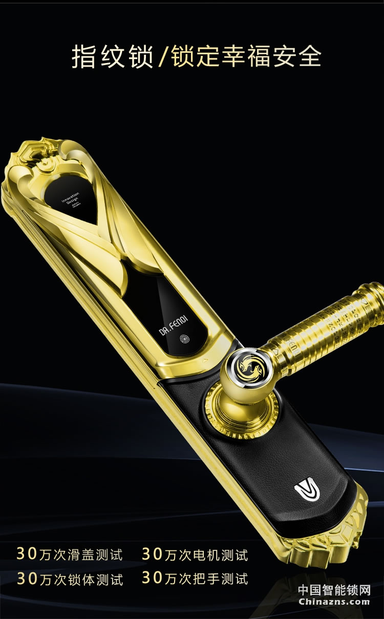 達文西別墅指紋鎖 家用防盜門鎖 大門智能鎖 