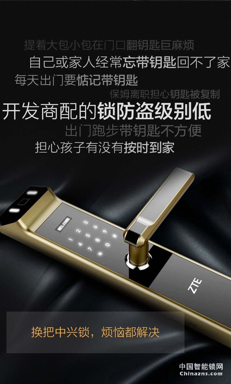 中興指紋鎖 家用防盜智能門鎖