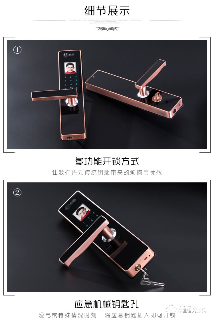 伊派爾人臉識別鎖 掌靜脈識別鎖指紋鎖密碼鎖鑰匙鎖