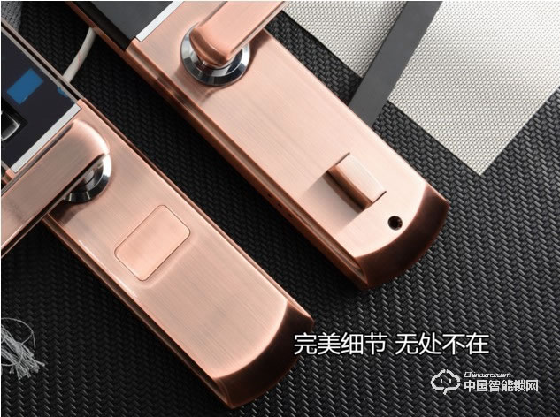 伊派爾指紋鎖 人臉識別掌靜脈指紋鎖家用防盜門鎖密碼鎖智能鎖