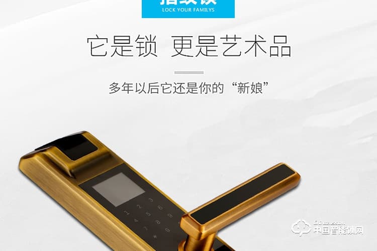 梵格爾大彩屏指紋鎖 智能門鎖密碼電子鎖全自動智能鎖