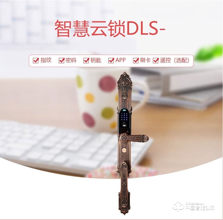 迪曼斯智能鎖 智能家居家用防盜門密碼磁卡鎖DLS-09