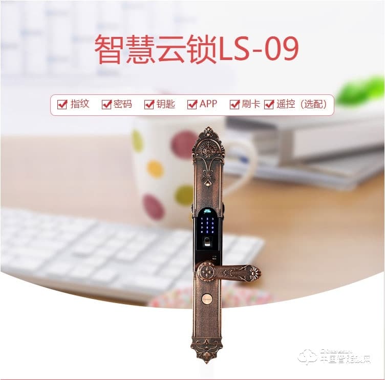 迪曼斯智能鎖 家用防盜門密碼磁卡鎖 智能電子鎖LS-09
