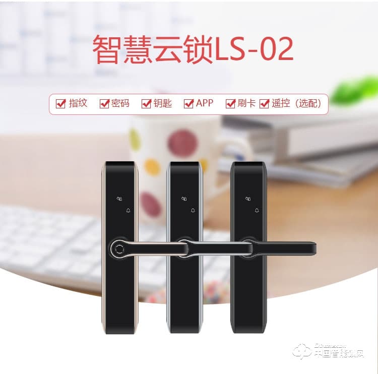 迪曼斯智能鎖 智能家居家用防盜門密碼磁卡鎖LS-02