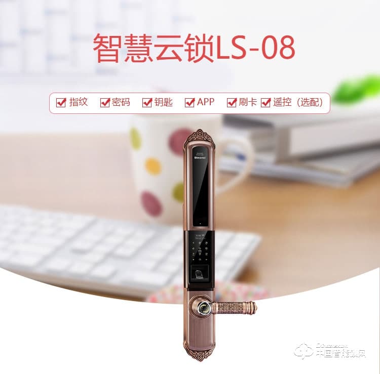 迪曼斯智能鎖 智能家居家用防盜門密碼磁卡鎖 智能電子鎖LS-08